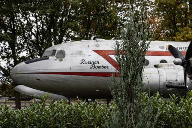Free download airplane vehicle aircraft grass free picture to be edited with GIMP free online image editor