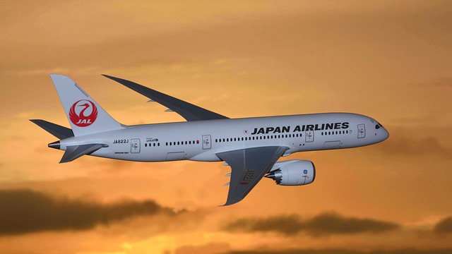 Free download airport japan japan airlines free picture to be edited with GIMP free online image editor