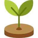 Açık Kuran  screen for extension Chrome web store in OffiDocs Chromium