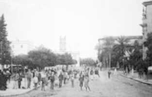 Free download ALAMEDA CRISTINA-JEREZ free photo or picture to be edited with GIMP online image editor