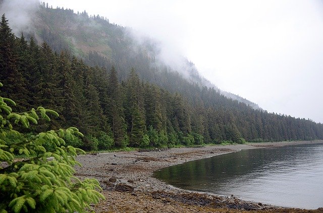 Téléchargement gratuit de l'Alaska Shoreline Landscape - photo ou image gratuite à éditer avec l'éditeur d'images en ligne GIMP