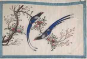 Album Containing Twelve Paintings of Birds GIMP online editor free Free download Album Containing Twelve Paintings of Birds free photo or picture to be edited with GIMP online image editor