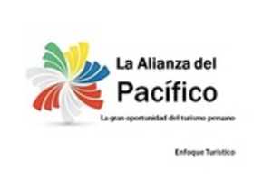 Free download Alianza Del Paci free photo or picture to be edited with GIMP online image editor