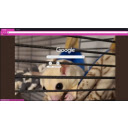 Alice Fuzz Butt  screen for extension Chrome web store in OffiDocs Chromium