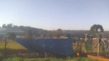 Free download all dem pics free photo or picture to be edited with GIMP online image editor