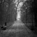 Alley of empty park with leafless trees in autumn  screen for extension Chrome web store in OffiDocs Chromium