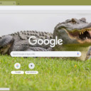 Alligator  screen for extension Chrome web store in OffiDocs Chromium