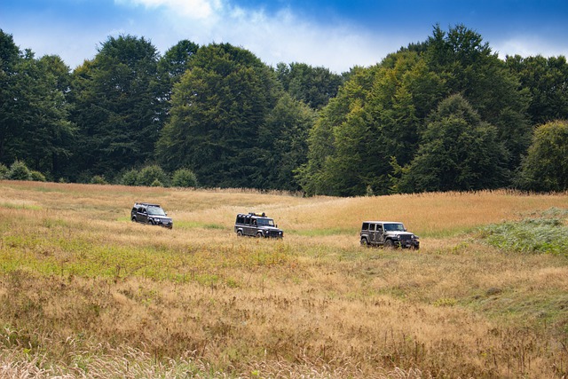 Free download all terrain vehicle landrover jeep free picture to be edited with GIMP free online image editor