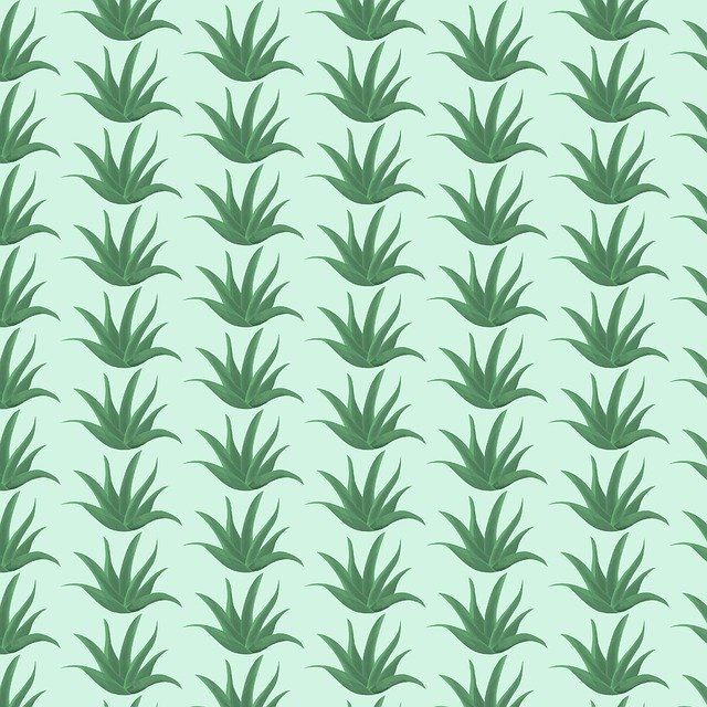 Free download Aloe Plants Pattern -  free illustration to be edited with GIMP free online image editor