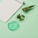 Aloe Vera Experiment Setup Theme  screen for extension Chrome web store in OffiDocs Chromium