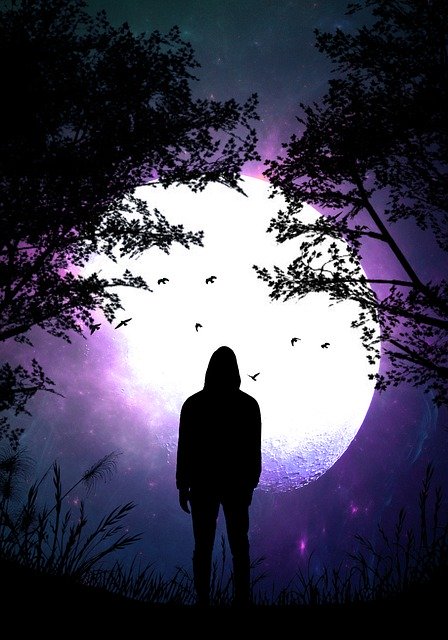 Muat turun percuma Alone Silhouette Night - foto atau gambar percuma untuk diedit dengan editor imej dalam talian GIMP