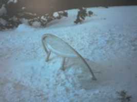 Free download A Lot Of Snow free photo or picture to be edited with GIMP online image editor