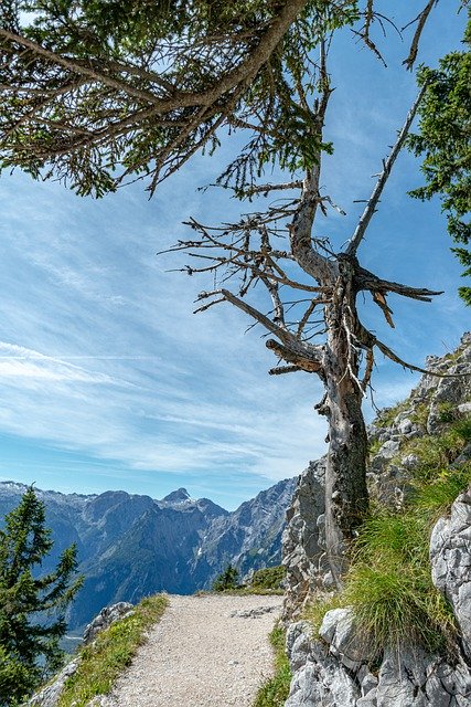 Modello Foto Alpine Jenner Sky - per OffiDocs