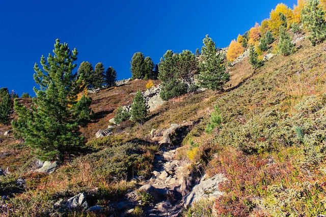 Gratis download Alps Autumn Colors The - gratis foto of afbeelding om te bewerken met GIMP online afbeeldingseditor