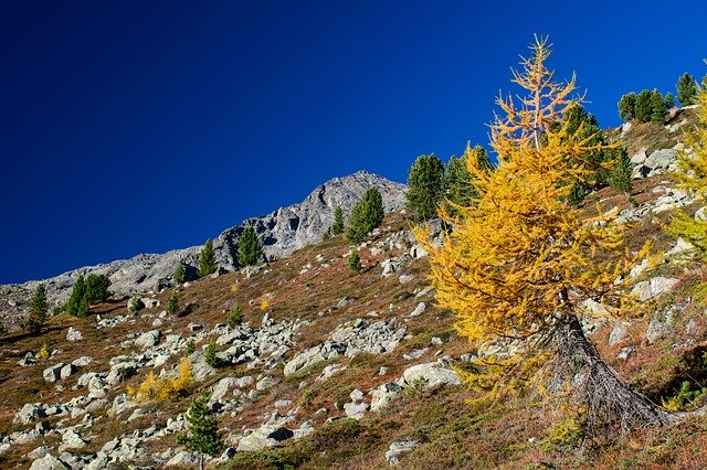 Kostenloser Download Alpen-Herbst-Landschaft - kostenloses Foto oder Bild zur Bearbeitung mit GIMP-Online-Bildbearbeitung