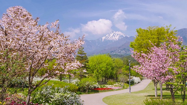 Free download alps azumino park in spring 04 free picture to be edited with GIMP free online image editor