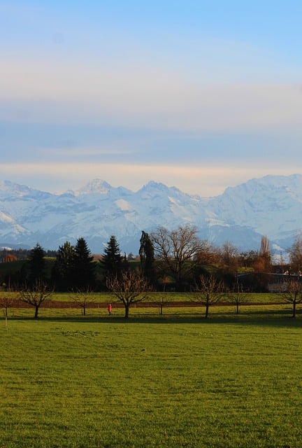 Free download alps canton of bern rural mountains free picture to be edited with GIMP free online image editor