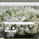 Alyssum  screen for extension Chrome web store in OffiDocs Chromium