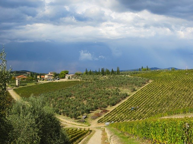 Скачать бесплатно Ama Chianti Tuscany - бесплатное фото или изображение для редактирования с помощью онлайн-редактора изображений GIMP