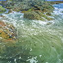 A majestic underwater natural scene  screen for extension Chrome web store in OffiDocs Chromium