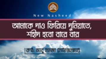 Free download Amake Daw Firiea free photo or picture to be edited with GIMP online image editor