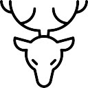 Amazon Merch Trademark Hunt  screen for extension Chrome web store in OffiDocs Chromium