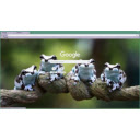Amazon Milk Frog  screen for extension Chrome web store in OffiDocs Chromium