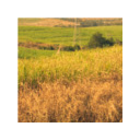 Americana landscape  screen for extension Chrome web store in OffiDocs Chromium