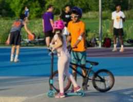 Free download Amicable free photo or picture to be edited with GIMP online image editor