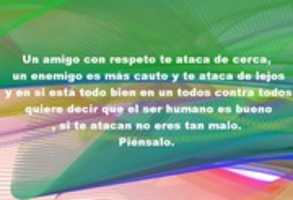 Free download Amigo Friend free photo or picture to be edited with GIMP online image editor