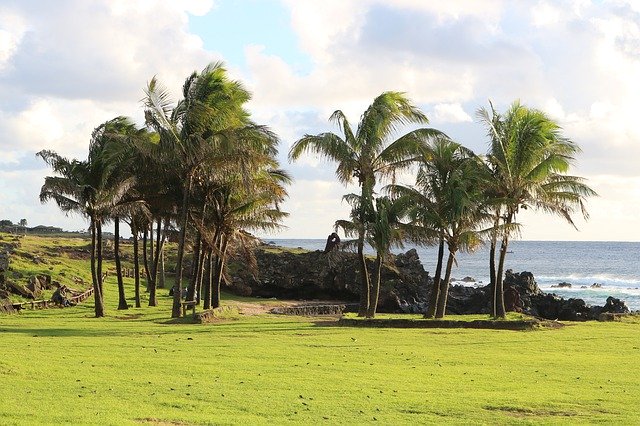 Free download Anakena Easter Island Rapa Nui -  free photo or picture to be edited with GIMP online image editor