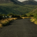 An Asphalt Road at a Picturesque Location  screen for extension Chrome web store in OffiDocs Chromium