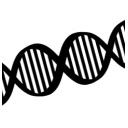 Ancestry Match Downloader  screen for extension Chrome web store in OffiDocs Chromium