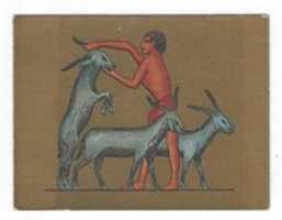 Free picture Ancient Egypt Trading Cards to be edited by GIMP online free image editor by OffiDocs