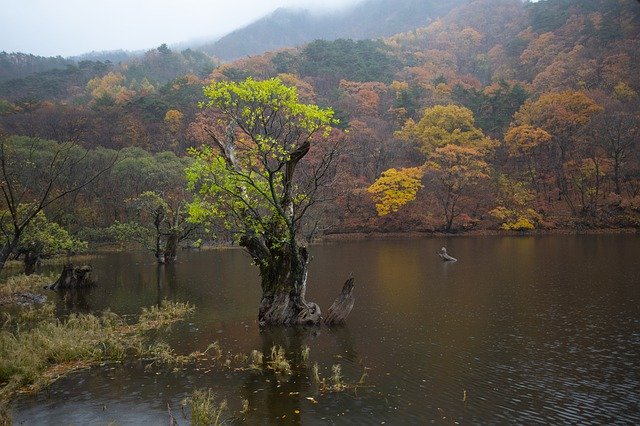 Tải xuống miễn phí And Thu Lake The Main Production - ảnh hoặc hình ảnh miễn phí được chỉnh sửa bằng trình chỉnh sửa ảnh trực tuyến GIMP