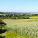 an expansive wheat field on the prairie  screen for extension Chrome web store in OffiDocs Chromium