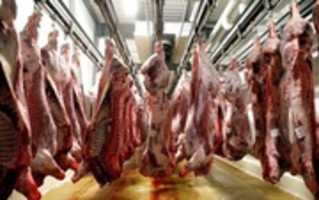 Free download Angeluko Hiltegia free photo or picture to be edited with GIMP online image editor