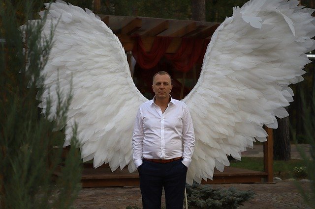 Free picture Angel Wings Man -  to be edited by GIMP free image editor by OffiDocs