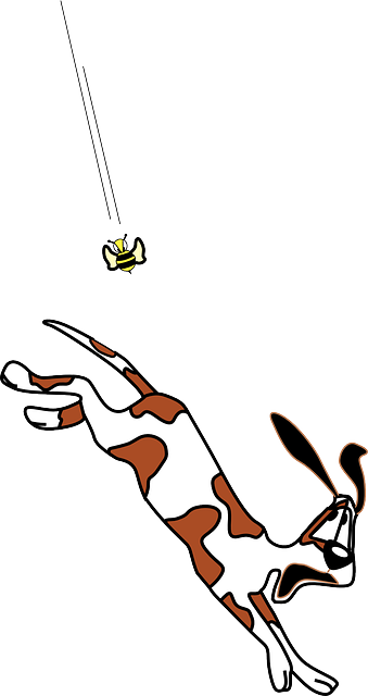 Descarga gratuita Angry Dog Ejecución - Gráficos vectoriales gratis en Pixabay ilustración gratuita para editar con GIMP editor de imágenes en línea gratuito