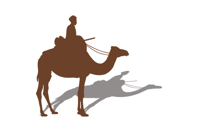 Template Photo Animal Camel Desert -  for OffiDocs