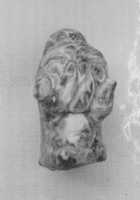 Free download Animal head free photo or picture to be edited with GIMP online image editor