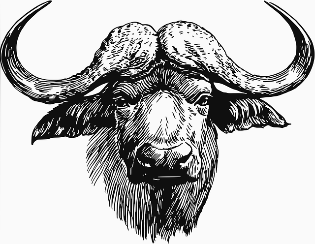 Free download Animal Male Ox - Free vector graphic on Pixabay free illustration to be edited with GIMP free online image editor