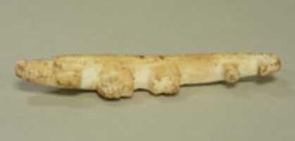 Free download Animal Pendant free photo or picture to be edited with GIMP online image editor