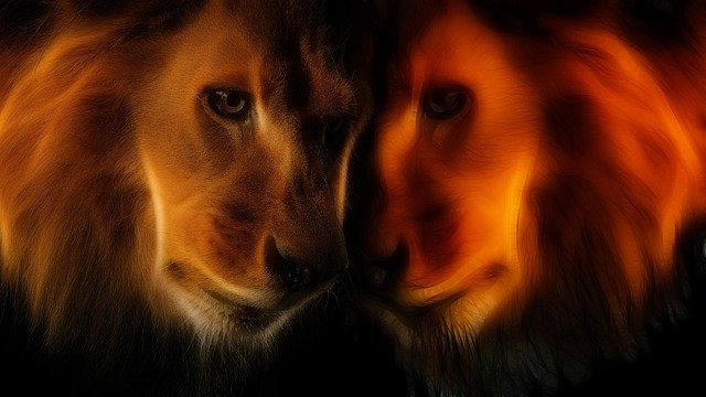 Kostenloser Download Animals Twin Zodiac - kostenlose Illustration, die mit dem kostenlosen Online-Bildeditor GIMP bearbeitet werden kann