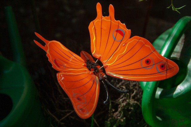 ດາວໂຫລດ Animel Garden Colored ຟຣີ - ຮູບພາບຫຼືຮູບພາບທີ່ບໍ່ເສຍຄ່າເພື່ອແກ້ໄຂດ້ວຍຕົວແກ້ໄຂຮູບພາບອອນໄລນ໌ GIMP