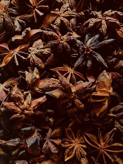 Free download Anise Starry Spices -  free photo or picture to be edited with GIMP online image editor