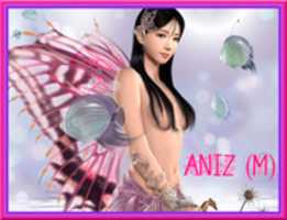 Free download ANIZ M free photo or picture to be edited with GIMP online image editor