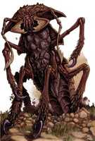 Free download Ankeg free photo or picture to be edited with GIMP online image editor