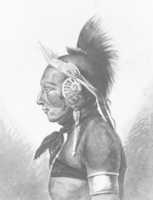 Free download An Osage Warrior free photo or picture to be edited with GIMP online image editor