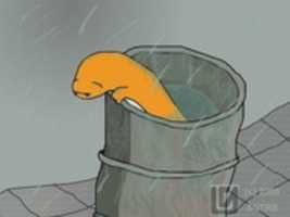 Free download Another dead Charmander free photo or picture to be edited with GIMP online image editor